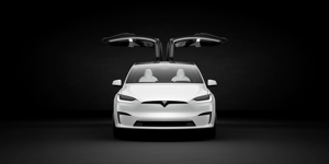 EU - Model X  white Falcon Doors